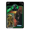 Super7 Aliens Xenomorph Attack Warrior Gold Alien Action Figure Horror Movie Franchise 2 Super7 Aliens Xenomorph Attack Warrior Gold Alien Action Figure Horror Movie Franchise