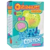 Know Yourself Organauts Mighties Mr. Cortex Figure Educational Anatomy Learning Toy Action Figures