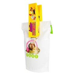 LogoPeg Paw Patrol Hello Sunshine Beach Towel Clips Nickelodeon Summer Bag Secure Chair