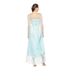 Disguise Costumes Disney Frozen Elsa Deluxe Women's Licensed Costume - Large (12/14)