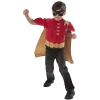 Rubie's Costumes DC Comics Robin Costume - Small