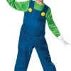 Costumes Nintendo Super Mario Brothers Luigi Deluxe Size XL 14/16 Kids Costume Disguise